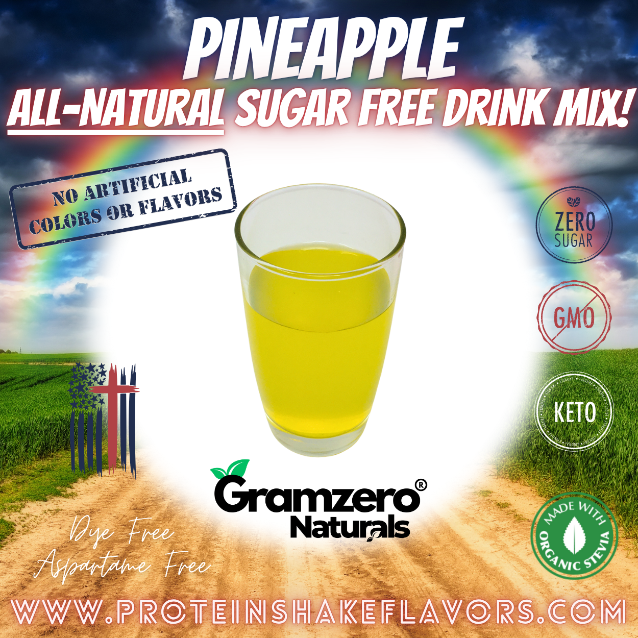 Pineapple All Natural Powdered Drink Mix Sugar Free Drink Mix Without Aspartame or Artificial Sweeteners Loaded Tea Flavoring Non-GMO Keto Friendly GramZero Dye-Free